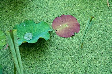 经典丧尸游戏《丧尸围城：豪华复刻版》开启预售